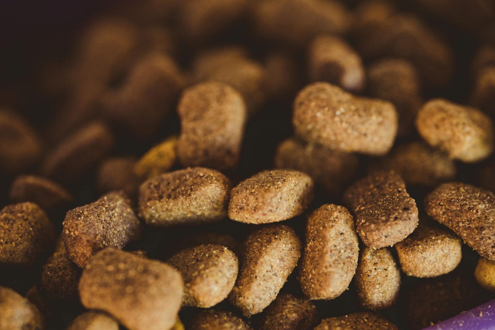 Sodium Selenite in Dog Food — Vital Nutrient or Dangerous Toxin?