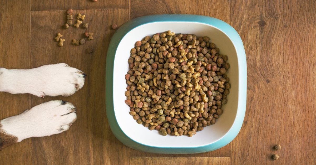Arsenic in Pet Food – Should You Be Worried? 