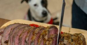 Dog waiting for sliced steak