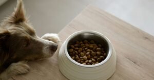 Dog Food Nutrition Facts